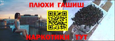молекула духа Кингисепп