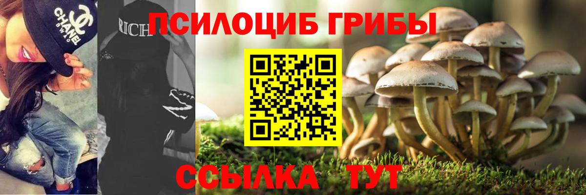 Псилоцибиновые грибы мухоморы Дальнереченск